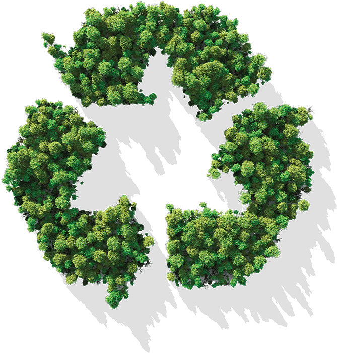 Дунъян Лиши Пластик Ко., Лтд.